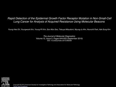 Rapid Detection of the Epidermal Growth Factor Receptor Mutation in Non-Small-Cell Lung Cancer for Analysis of Acquired Resistance Using Molecular Beacons 