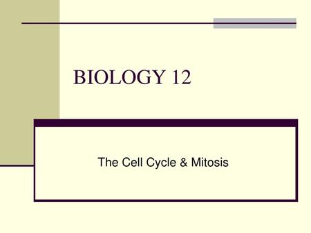 The Cell Cycle & Mitosis