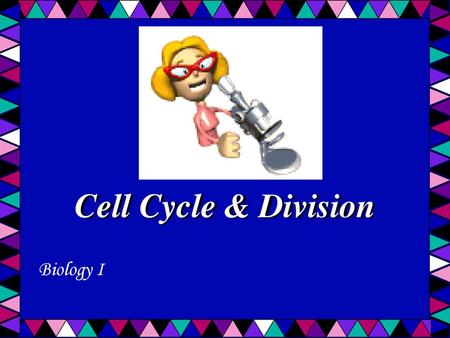 Cell Cycle & Division Biology I.