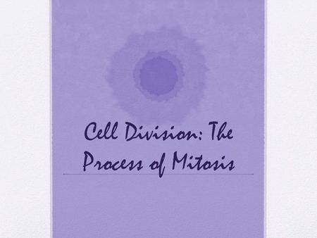 Cell Division: The Process of Mitosis