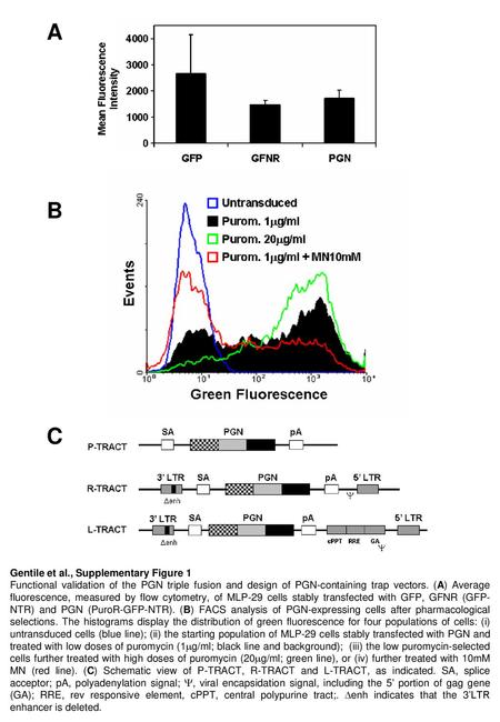 A B C Gentile et al., Figure 1A Gentile et al., Supplementary Figure 1