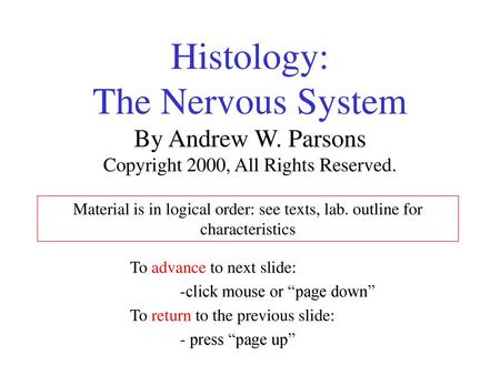 Histology: The Nervous System By Andrew W