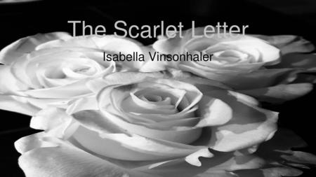 The Scarlet Letter Isabella Vinsonhaler.