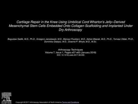 Cartilage Repair in the Knee Using Umbilical Cord Wharton's Jelly–Derived Mesenchymal Stem Cells Embedded Onto Collagen Scaffolding and Implanted Under.