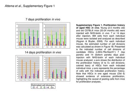 Attema et al., Supplementary Figure 1