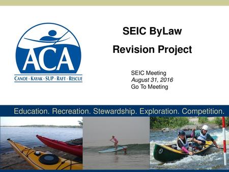 SEIC ByLaw Revision Project