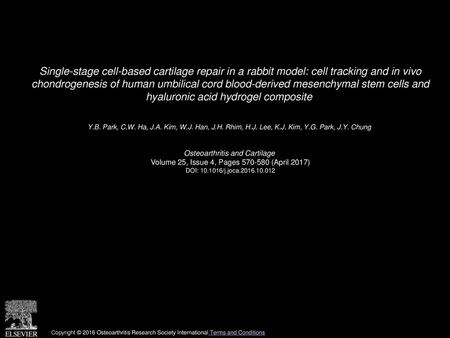 Single-stage cell-based cartilage repair in a rabbit model: cell tracking and in vivo chondrogenesis of human umbilical cord blood-derived mesenchymal.