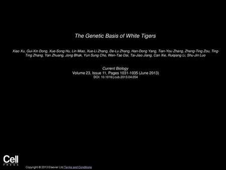 The Genetic Basis of White Tigers