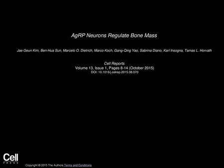 AgRP Neurons Regulate Bone Mass