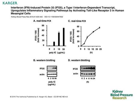 Interferon (IFN)-Induced Protein 35 (IFI35), a Type I Interferon-Dependent Transcript, Upregulates Inflammatory Signaling Pathways by Activating Toll-Like.