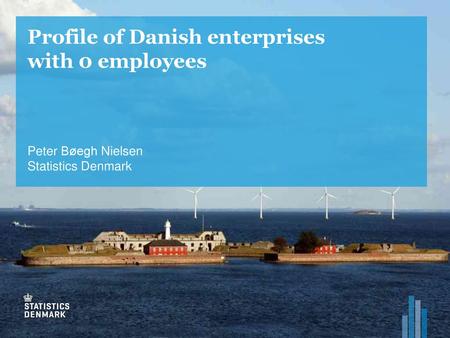 Profile of Danish enterprises with 0 employees