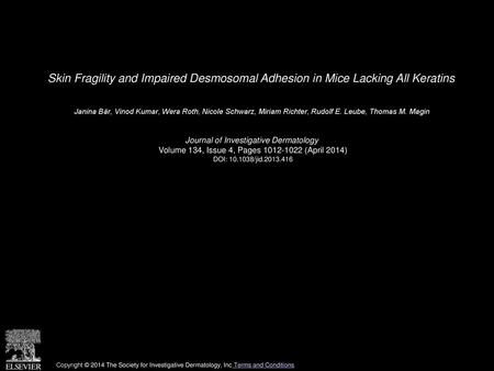 Skin Fragility and Impaired Desmosomal Adhesion in Mice Lacking All Keratins  Janina Bär, Vinod Kumar, Wera Roth, Nicole Schwarz, Miriam Richter, Rudolf.