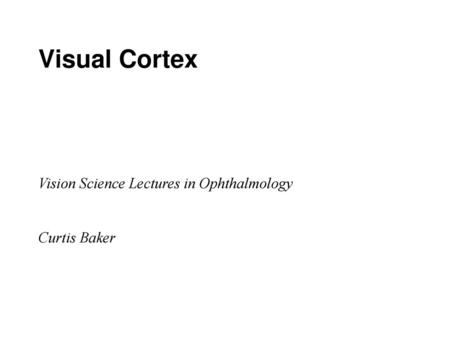 Visual Cortex   Vision Science Lectures in Ophthalmology Curtis Baker.