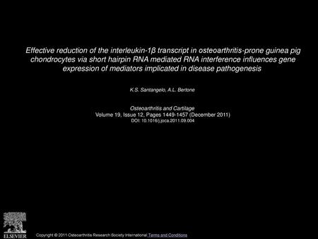 Effective reduction of the interleukin-1β transcript in osteoarthritis-prone guinea pig chondrocytes via short hairpin RNA mediated RNA interference influences.