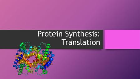 Protein Synthesis: Translation