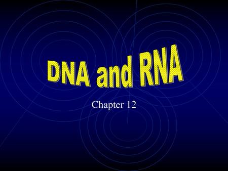 DNA and RNA Chapter 12.