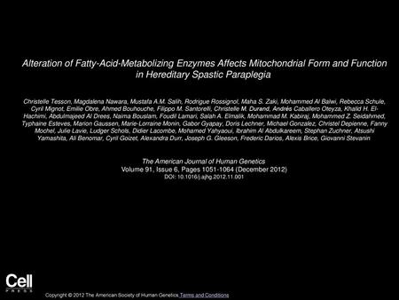 Alteration of Fatty-Acid-Metabolizing Enzymes Affects Mitochondrial Form and Function in Hereditary Spastic Paraplegia  Christelle Tesson, Magdalena Nawara,