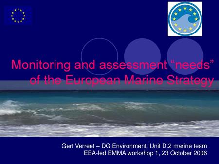 Monitoring and assessment “needs” of the European Marine Strategy