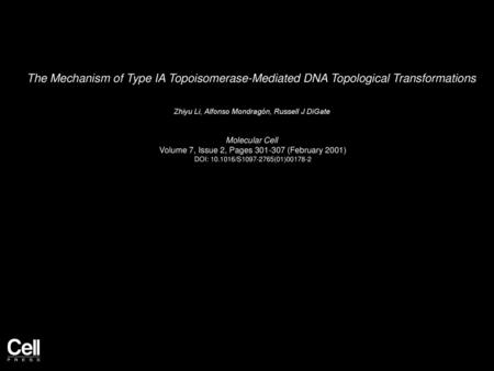 Zhiyu Li, Alfonso Mondragón, Russell J DiGate  Molecular Cell 