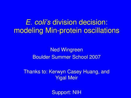 E. coli’s division decision: modeling Min-protein oscillations