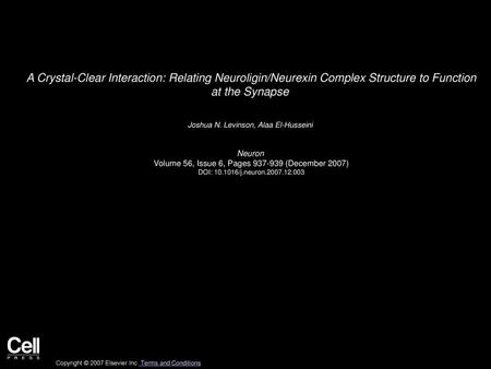 A Crystal-Clear Interaction: Relating Neuroligin/Neurexin Complex Structure to Function at the Synapse  Joshua N. Levinson, Alaa El-Husseini  Neuron 