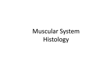 Muscular System Histology