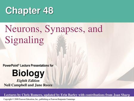 Neurons, Synapses, and Signaling