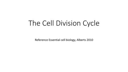 The Cell Division Cycle