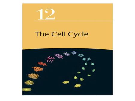 “Where a cell exists, there must have been a preexisting cell, just as the animal arises only from an animal and the plant only from a plant.”