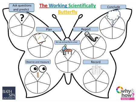 The Working Scientifically Butterfly