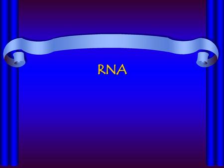 RNA.