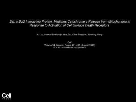 Bid, a Bcl2 Interacting Protein, Mediates Cytochrome c Release from Mitochondria in Response to Activation of Cell Surface Death Receptors  Xu Luo, Imawati.