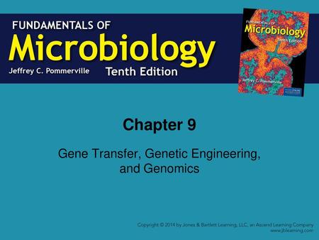 Gene Transfer, Genetic Engineering, and Genomics