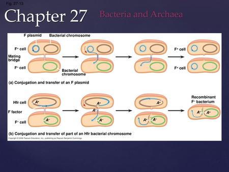 Chapter 27 Bacteria and Archaea Fig F plasmid