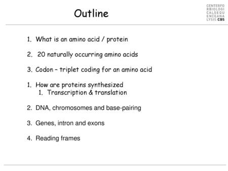 Outline What is an amino acid / protein