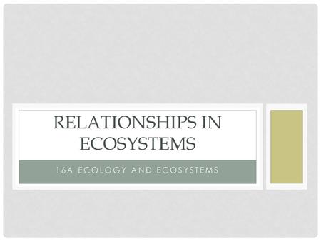 Relationships in ecosystems