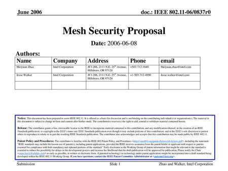 Mesh Security Proposal