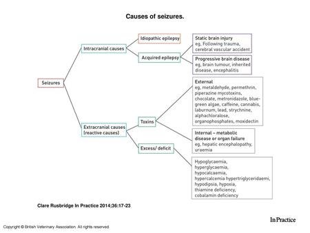 Causes of seizures. Causes of seizures. Seizures are traditionally divided into intracranial and extracranial (reactive) causes. Intracranial causes of.