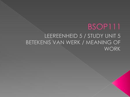 LEEREENHEID 5 / STUDY UNIT 5 BETEKENIS VAN WERK / MEANING OF WORK