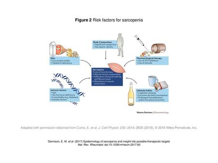 Figure 2 Risk factors for sarcopenia