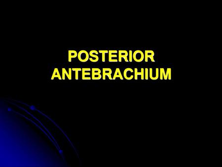 POSTERIOR ANTEBRACHIUM