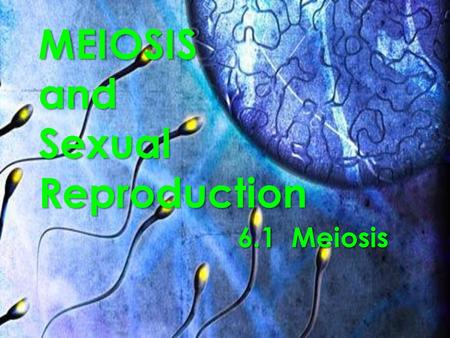 MEIOSIS and Sexual Reproduction