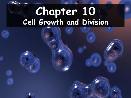 Cell Growth and Division