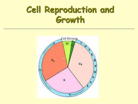 Cell Reproduction and Growth