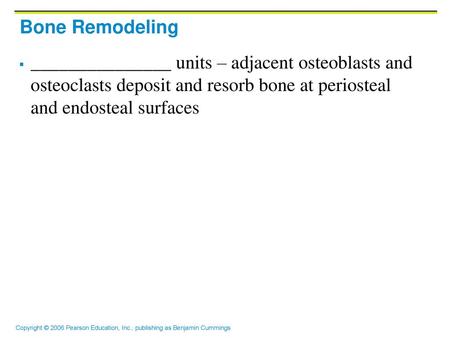 Bone Remodeling _______________ units – adjacent osteoblasts and osteoclasts deposit and resorb bone at periosteal and endosteal surfaces.