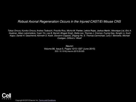 Robust Axonal Regeneration Occurs in the Injured CAST/Ei Mouse CNS