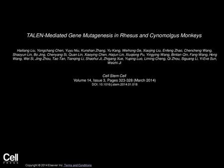 TALEN-Mediated Gene Mutagenesis in Rhesus and Cynomolgus Monkeys