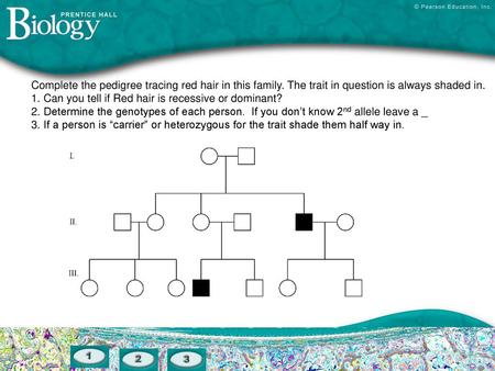 Complete the pedigree tracing red hair in this family