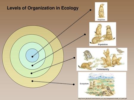 Http://www.phschool.com/science/ca_sci_exp_transparencies/earth_sci_unit5.pdf.