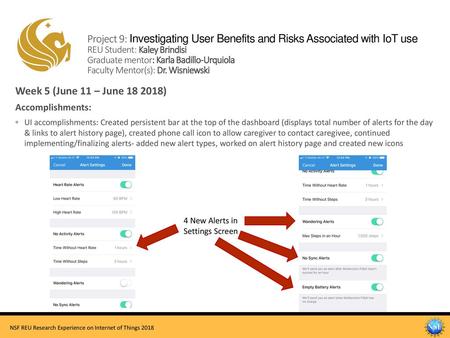 Project 9: Investigating User Benefits and Risks Associated with IoT use REU Student: Kaley Brindisi Graduate mentor: Karla Badillo-Urquiola Faculty.